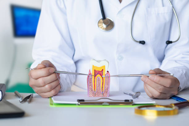 Best Root Canal Emergency Dentist  in Fulda, MN